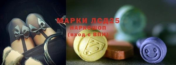 spice Арсеньев
