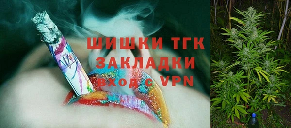 spice Арсеньев