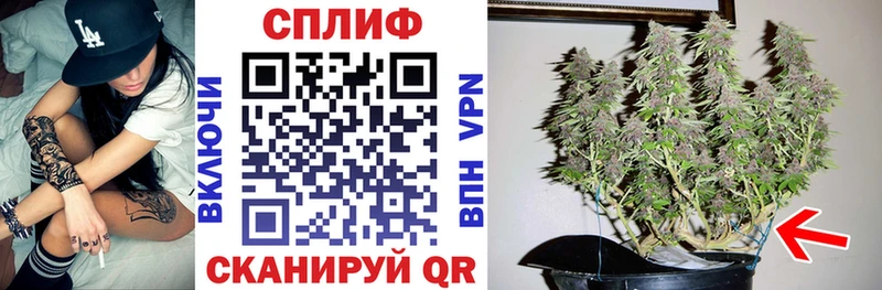 Купить где  Костомукша  Бошки марихуана VHQ 